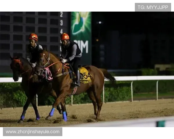 澳门赛马最新消息全面解析2024年赛马赛程安排与赛事亮点