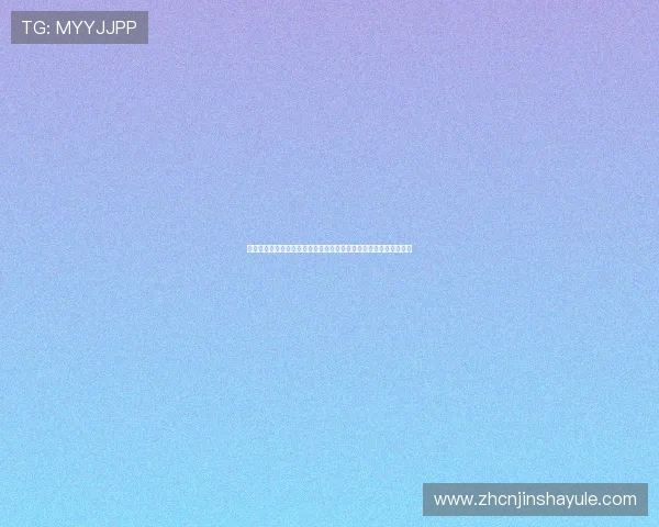 澳门新濠天地入口安全保障措施，保障玩家个人信息与资金安全稳定